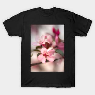 Cherry Blossom T-Shirt